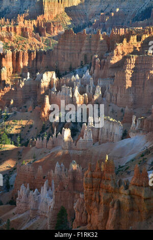 Last light on hoodoos beneath the Rim Trail and Sunrise Point as seen from Queen's Garden Trail in Bryce Canyon National Park Stock Photo