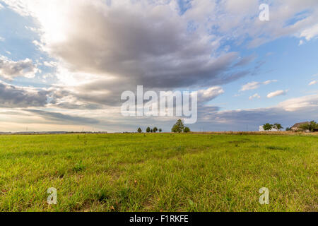 cloudy sunset over green field Stock Photo - Alamy