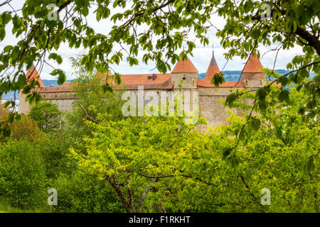 Château de Grandson, Canton de Vaud, Switzerland, Europe. Stock Photo