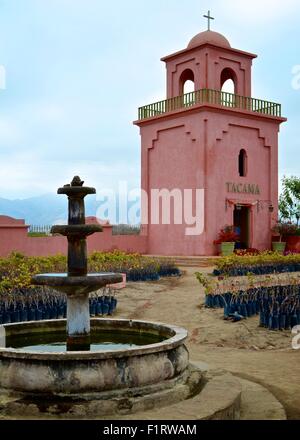 Peruvian Pisco and wine production in vineyards near Ica, Peru Stock Photo