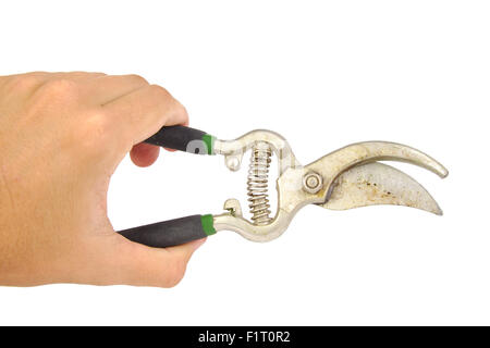 Hand holding pruning shears or garden scissors isolated on white background Stock Photo