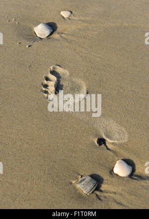 A footprint in the sand at the shore Stock Photo
