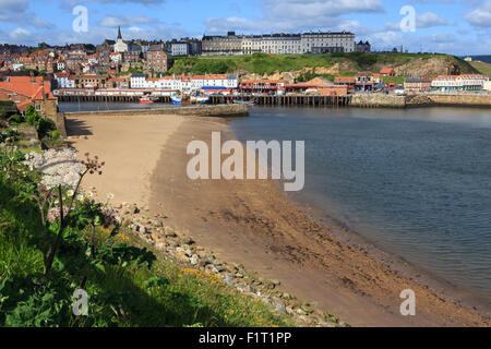 Tate Hill Beach, cliff side wild spring flowers, view to town and West Cliff, Whitby, North Yorkshire, England, United Kingdom Stock Photo