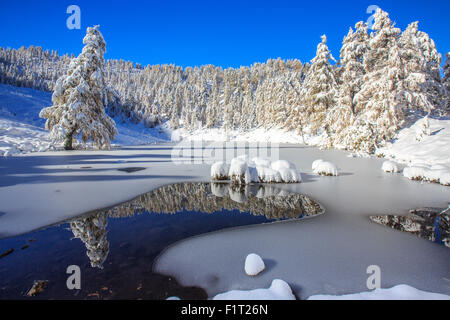 Snow covered trees reflected in the Casera Lake, Livrio Valley, Orobie Alps, Valtellina, Lombardy, Italy, Europe Stock Photo