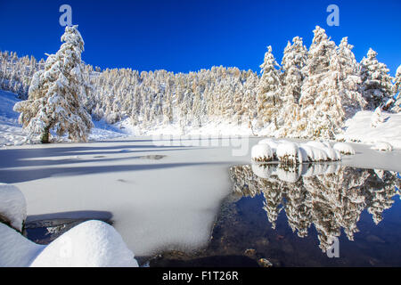 Snow covered trees reflected in the Casera Lake, Livrio Valley, Orobie Alps, Valtellina, Lombardy, Italy, Europe Stock Photo