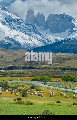 The Three Towers, Torres del Paine National Park, Chilean Patagonia, Chile, South America Stock Photo