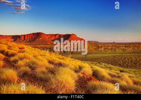 Beautiful Australian landscape in the light of a setting sun. Photographed from the Kungkalahayi lookout in Purnululu National P Stock Photo