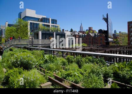 Empire State Building from the High Line, New York, United States of America, North America Stock Photo