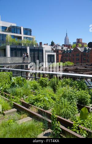 Empire State Building from the High Line, New York, United States of America, North America Stock Photo