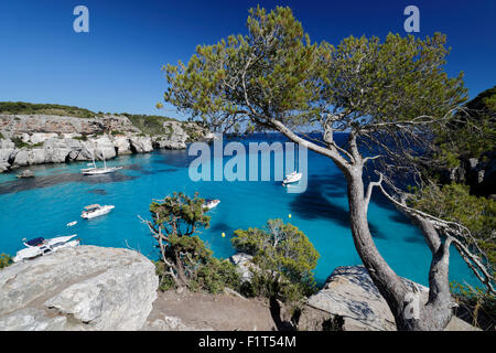 Yachts anchored in cove, Cala Macarella, near Cala Galdana, South West Coast, Menorca, Balearic Islands, Spain, Mediterranean Stock Photo