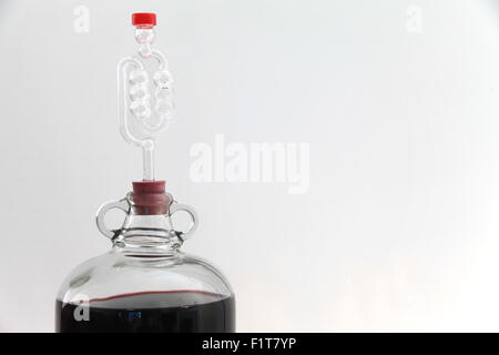 Glass demijohn bottle fitted with airlock containing fermenting red wine Stock Photo
