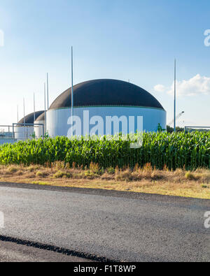 Energy Crop Anaerobic Digestion Plant operated by Severn Trent Water, Stoke Bardolph, Nottinghamshire, England, UK Stock Photo