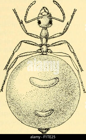 Elementary biology; an introduction to the science of life