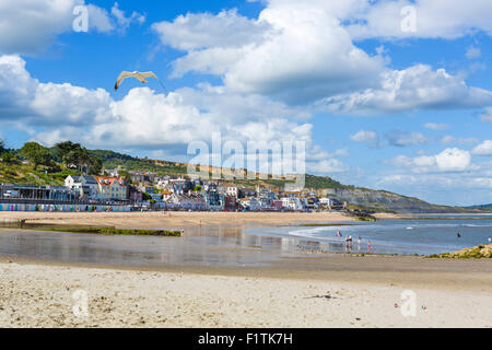 Seagull flying over the beach at low tide with the town behind, Lyme Regis, Lyme Bay, Jurassic Coast, Dorset, England, UK Stock Photo