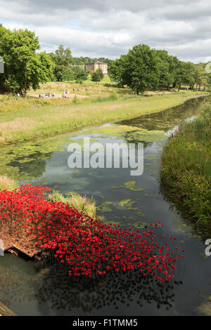 Ceramic Poppies on display at the Yorkshire Sculpture Park in West Bretton, Wakefield West Yorkshire England UK Stock Photo