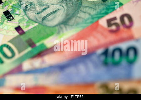 The portrait of Nelson Mandela on a selection of South African bank notes Stock Photo