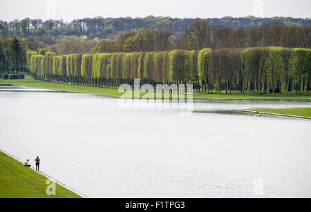 Spring Foliage in the Gardens at Versailles. A long line of box cut trees leafs out along the massive pools on the grounds. Stock Photo