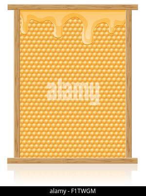 honey comb in the frame vector illustration isolated on white background Stock Vector