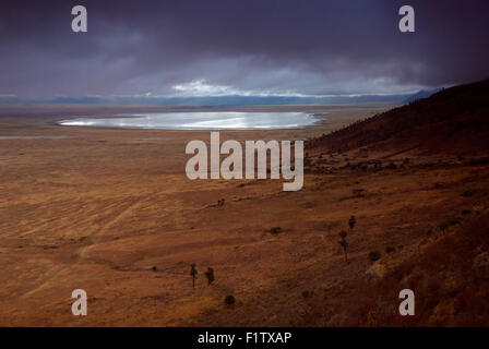 Ngorongoro crater landscape with lake and clouds Stock Photo