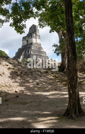 Temple I from Central Acropolis of Tikal. View from a shady spot framed by trees Stock Photo