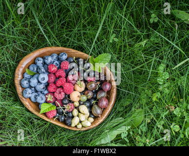 Ripe berries in the wooden bowl over green grass. Stock Photo