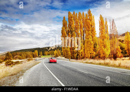 Autumn landscape with road and red car, New Zealand Stock Photo