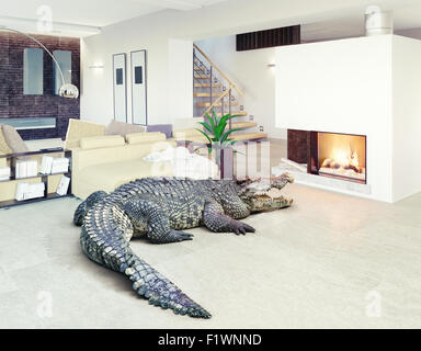 Big crocodile relax in the luxury interior (photo and cg elements combination) Stock Photo