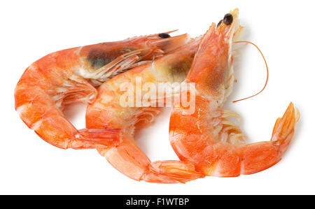 shrimps isolated on the white background. Stock Photo