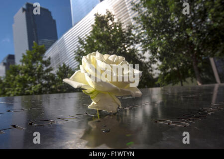 A rose at Ground Zero, Nine Eleven memorial. Stock Photo