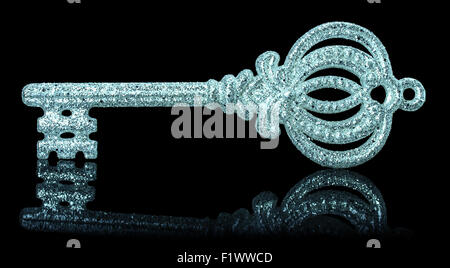 silver key on the black background. Stock Photo