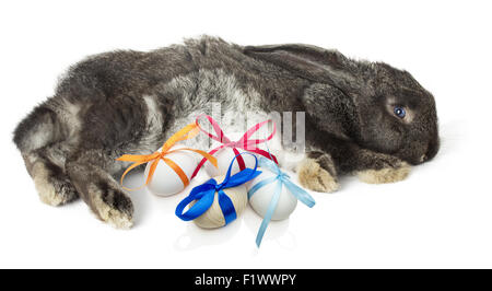 Easter rabbit with eggs isolated on white background. Stock Photo