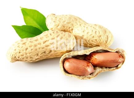 peanuts in shell isolated on the white background. Stock Photo
