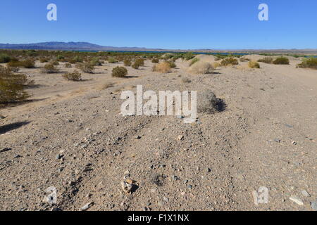 A dirt track in the desert at Lake Havasu Stock Photo