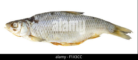 dried fish isolated on a white background. Stock Photo