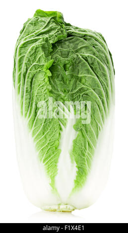 Chinese cabbage isolated on a white background. Stock Photo