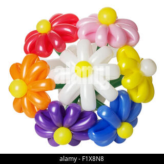 bouquet with balloon flowers isolated on the white background. Stock Photo