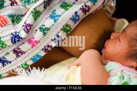 Guatemala, Salama, mother breastfeeding new born baby (Maura Giselda Tista Sis 23, Ruby Bachan Tista 9 days) Stock Photo