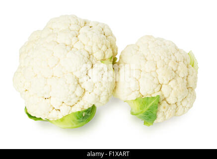 Cauliflower on the white background. Stock Photo