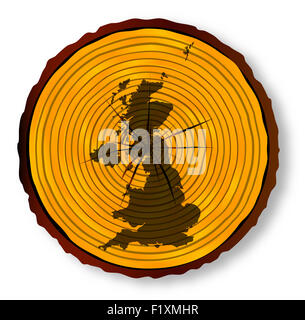 Map of The United Kingdom on a timber end section over a white background Stock Photo