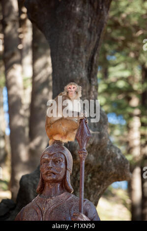 Shimla, Himachal Pradesh, India. Monkey sitting on the statue of a guard by the Monkey Temple, dedicated to the Hindu God Hanuman, on the Jakhoo Hill. Stock Photo