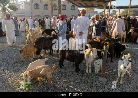 Sultanate of Oman, gouvernorate of Ad-Dakhiliyah, Nizwa, the friday livestock market Stock Photo