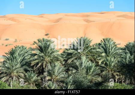 Sultanate of Oman, gouvernorate of Ash Sharqiyah, Al Mintarib at the entrance of Wahiba Sands (ou Sharqiya Sands) desert Stock Photo