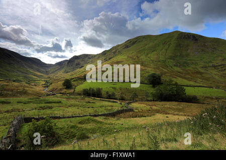 Summer, Threshthwaite Glen, Hartsop valley, Lake District National Park, Cumbria County, England, UK. Stock Photo