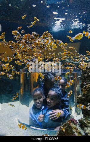South Africa, Western Cape, Cape Town, Victoria and Alfred Waterfront, Two Oceans Aquarium Stock Photo