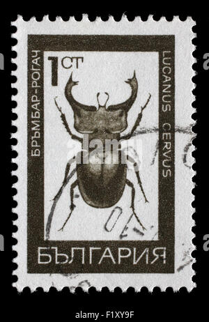 Stamp printed in Bulgaria shows image of a lucanus cervus, circa 1975 Stock Photo