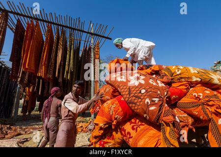 India, Rajasthan State, Sanganer, transport of textiles on a cart Stock Photo
