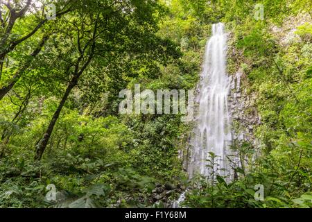 Costa Rica, Alajuela province, La Fortuna, the Catarata de la Fortuna, a 70m waterfall