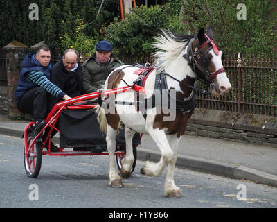 three men in a horse drawn trap trotting down the road at the famous annual travellers' gathering at Appleby Horse Fair, Cumbria England UK Stock Photo