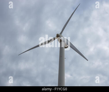 Windmills on display at the American Wind Power Center and Museum in Lubbock, Texas. Stock Photo