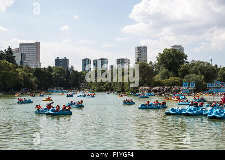 Lago Menor Paddle Boats Bosque de Chapultepec Mexico City Skyline / MEXICO CITY, Mexico — Visitors in orange life vests navigate blue paddle boats across Lago Menor in Bosque de Chapultepec's First Section, with the Paseo de la Reforma skyline rising behind the park's tree canopy. The lake dates in its current configuration to the Porfirian-era redesign of 1907–1910, when President Díaz transformed the grounds with Beaux-Arts avenues, ornamental water features, and formal plantings as part of the centennial commemorations of Mexican Independence. Stock Photo
